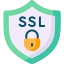 SSL and TLS Encryption