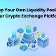 own-liquidity-pool-api-for-crypto-exchange
