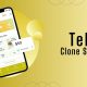 Telr Clone Script: A Smart Choice For Modern Entrepreneurs